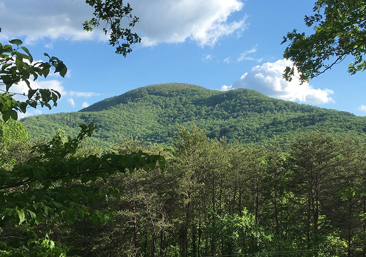 Sylvan Valley Lodge And Cellars Sautee Nacoochee 外观 照片